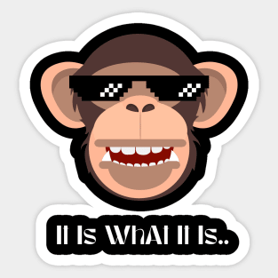 "It Is What It Is" Sticker